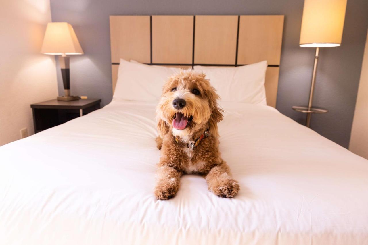 Sonesta Simply Suites Columbus Airport Gahanna Eksteriør bilde